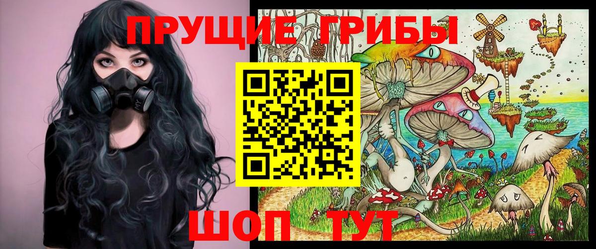 Галлюциногенные грибы мухоморы Арсеньев